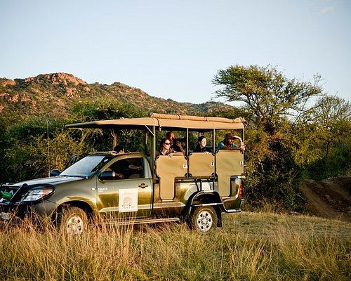 A group of tourists enjoying a guided safari tour in an open vehicle at Pilanesberg National Park, one of the adventurous activities available at Sun City, South Africa.